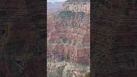 The North Rim of the Grand Canyon