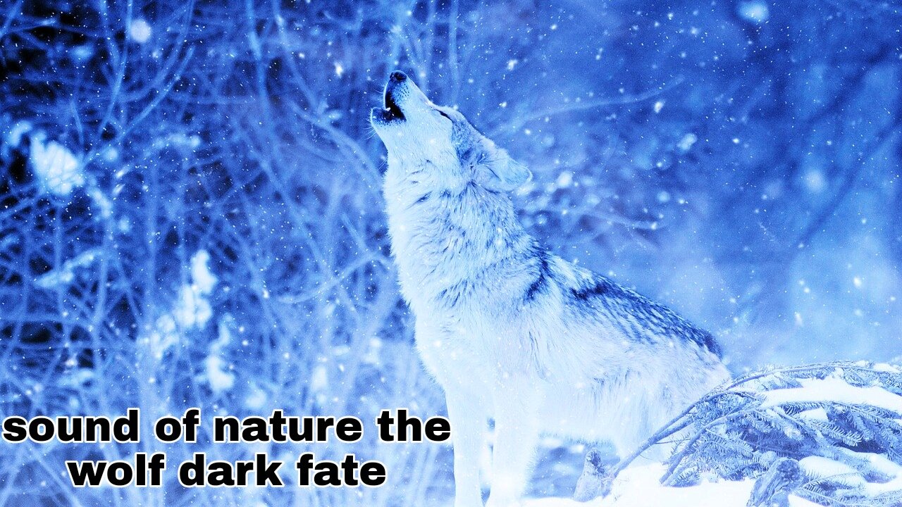 sound of nature the wolf dark fate