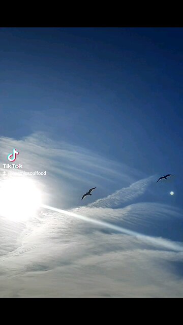 Happy Cosmic Tuesday 🤩