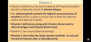 Humans can’t make vitamin c