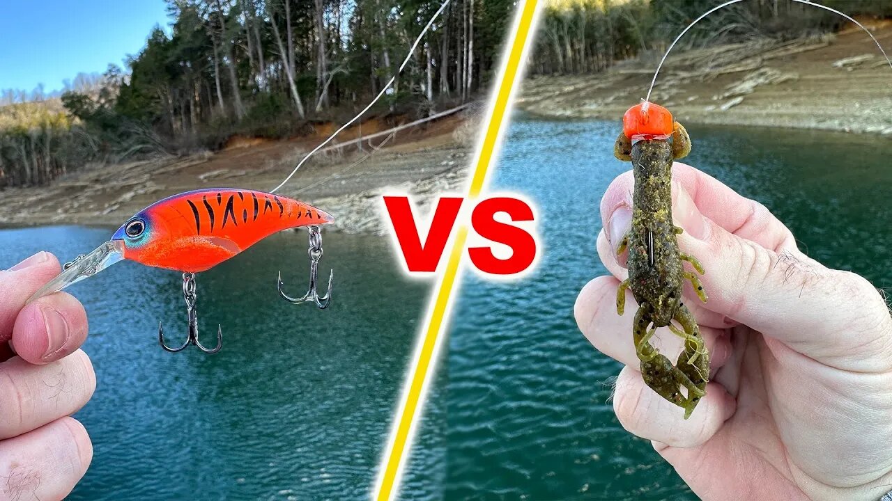 STOP Choosing The WRONG Bait...