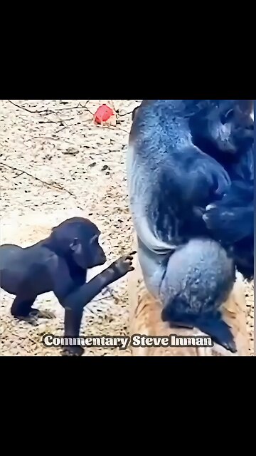 Pranking In The Wild