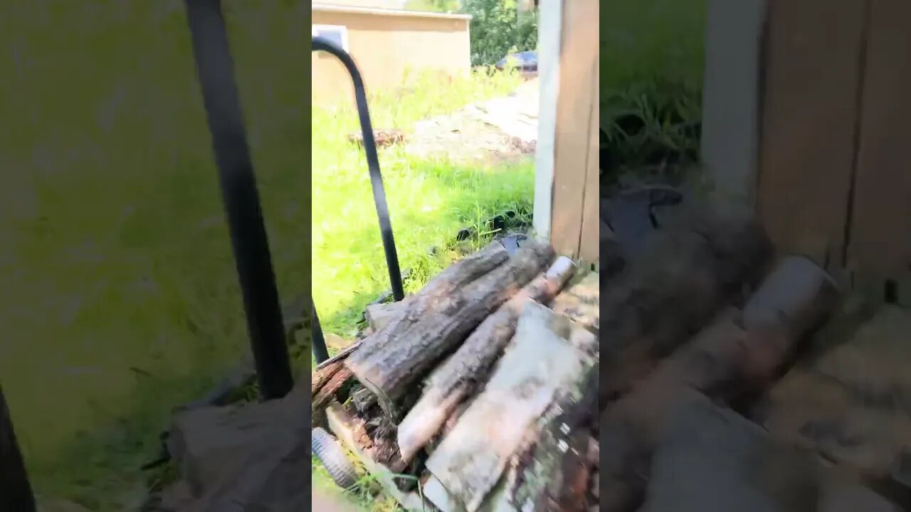 #savenaturesavelife