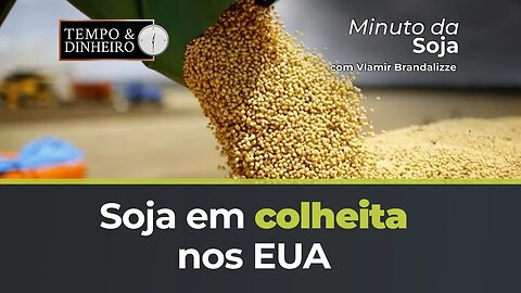 Soja em colheita nos EUA