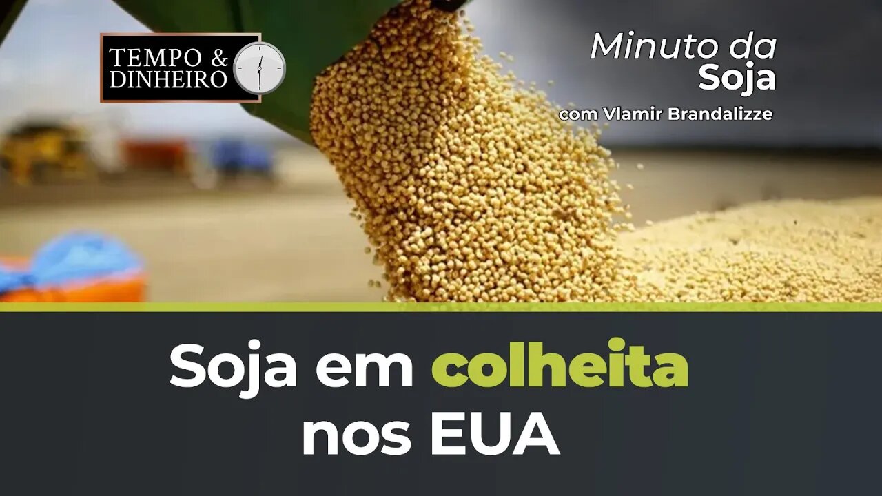 Soja em colheita nos EUA