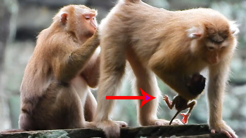 Rainbow Can't hold Mom For Long When Mom Standing Like this