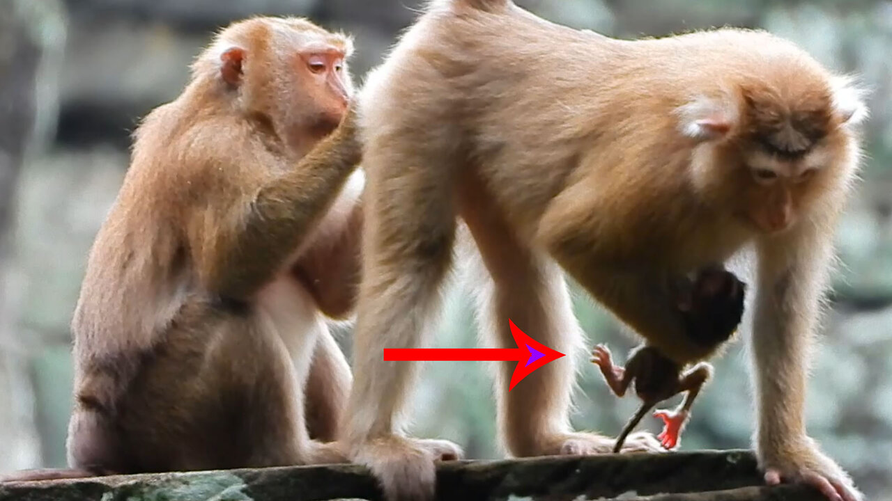 Rainbow Can't hold Mom For Long When Mom Standing Like this