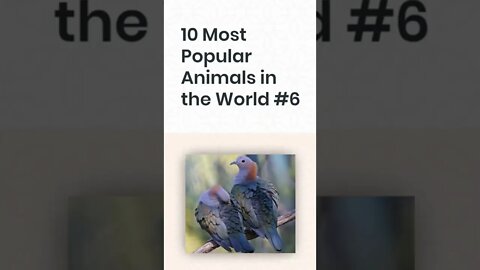 10 Most Popular Animals in the World #6, #Shorts.