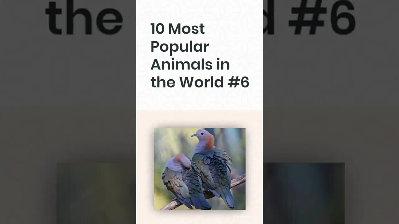 10 Most Popular Animals in the World #6, #Shorts.