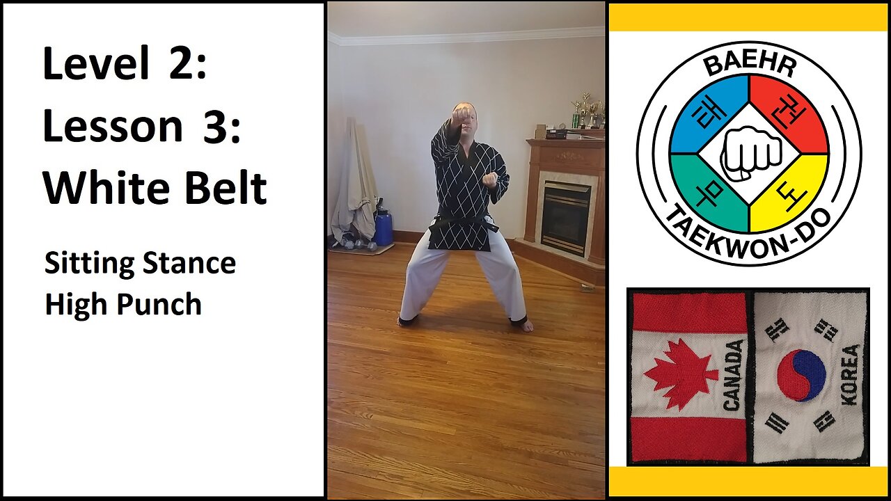 Baehr Taekwondo: 02-03: Yellow Stripe: Sitting Stance - High Punch