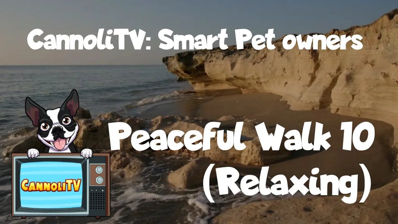 CannoliTV Video Library: Peaceful Dog Walk Along The Beach - 10