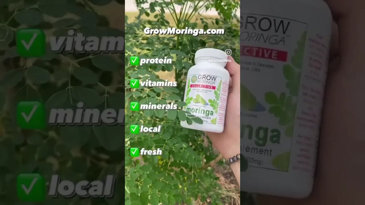 USA Moringa Wins