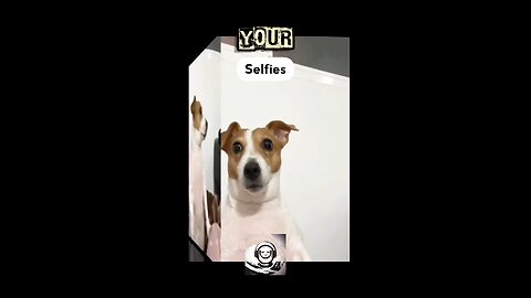 Your leaked Selfies!? #funny #dogs #memes #comedy #viral #rumble