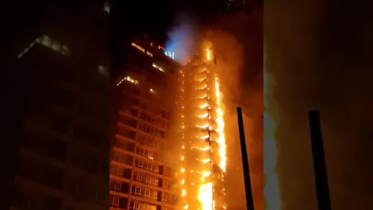 videos shorts do kawai#shorts