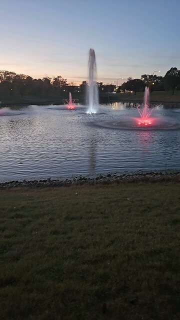 My Peaceful Place - Misinformation (removed by Youtube and TikTok)