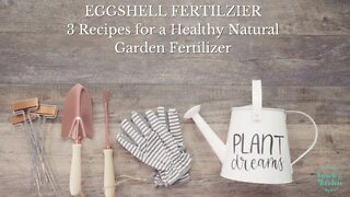 Eggshell Fertilizer: 3 Recipes for a Healthy Natural Garden Fertilizer