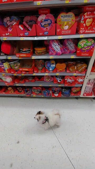 Don't buy these candy's