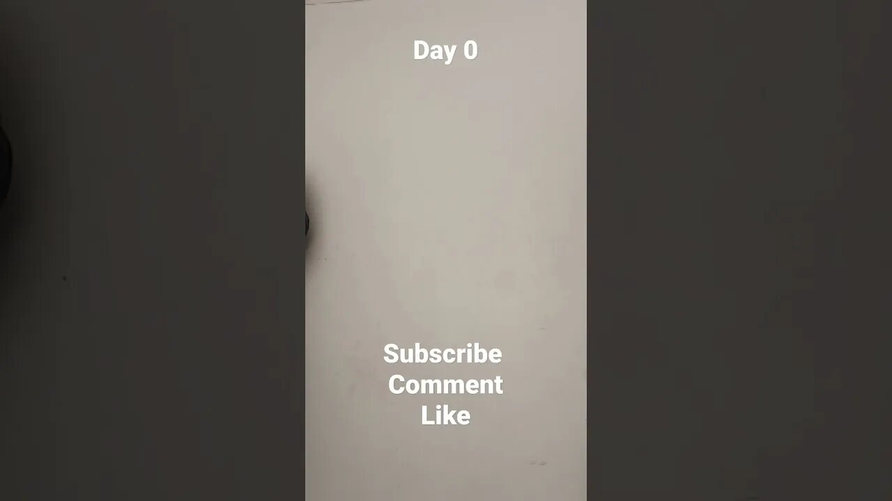 Day 0 Body Check. Calisthenics