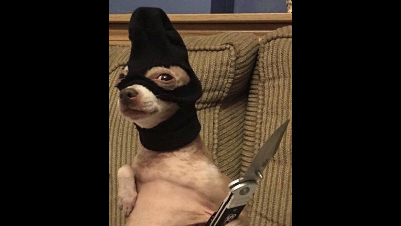 Shock funny meme clip