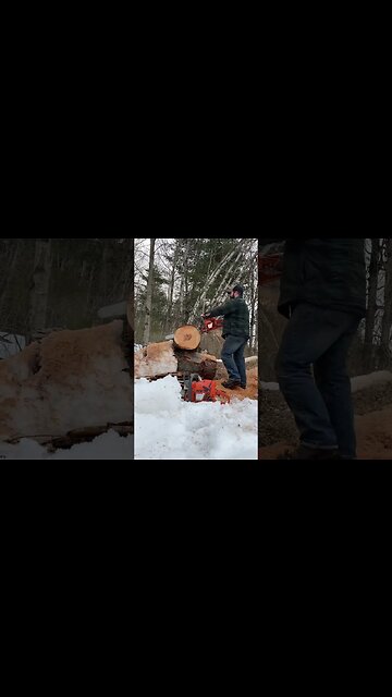 Husqvarna 371xp ported muffler pt1