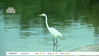 Cockroach Bay Nature Preserve is one of Ruskin's hidden gems