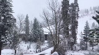 Snow at China Peak