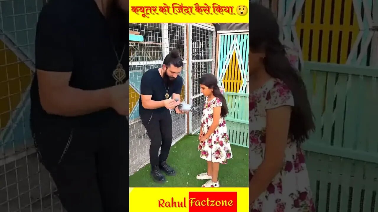 मरे हुए कबूतर को जिंदा कर दिया 🙏🏻 Rahul Factzone
