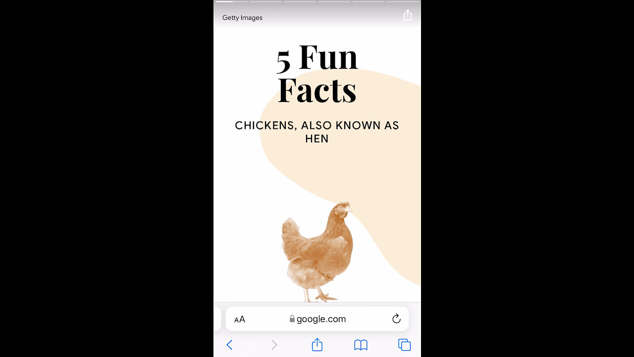 Checking Googles Chicken Knowledge, can it all be trusted? 2/5