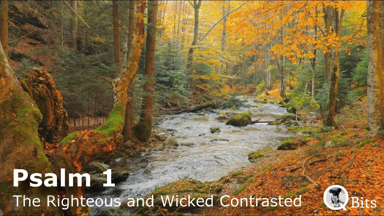 PSALM 001 // THE RIGHTEOUS & WICKED CONTRASTED