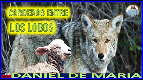 CORDEROS ENTRE LOS LOBOS - MENSAJE DE JESUCRISTO REY A DANIEL DE MARIA 14ENE23