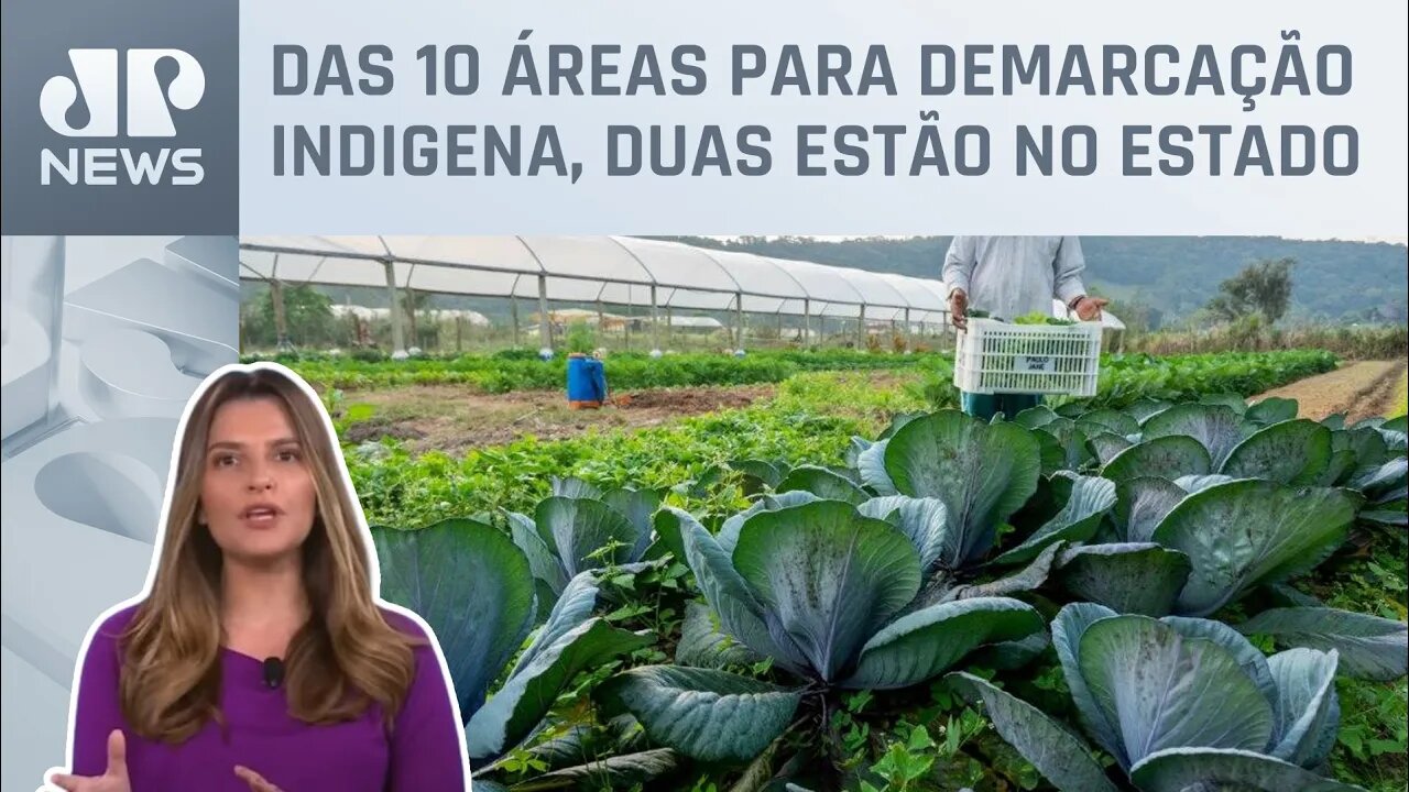 Kellen Severo: 500 agricultores podem perder as terras em SC