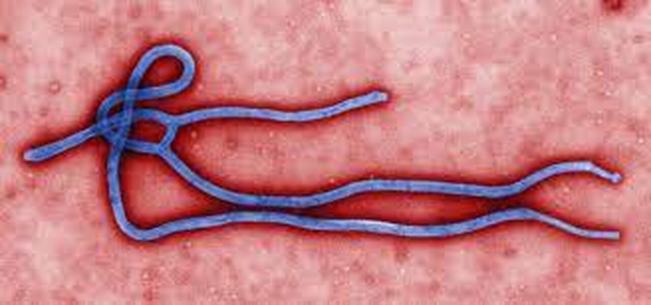 CANADIAN RESEARCHERS PROVE EBOLA IS AIRBORNE WHICH INCREASES THE THREAT TO MILLIONS