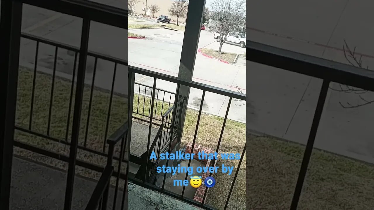 another that was picking and stalking felt the need to drive to my side before they left so here😇🧿