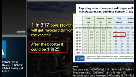 From 17/9/2021 FDA conference: “Vaccine KILLS ‘2 people’ for every 1 it saves”