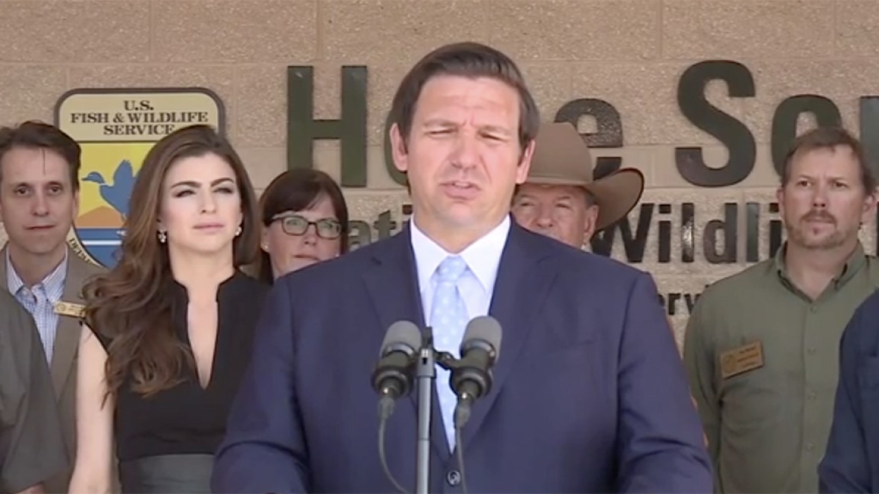 Gov. DeSantis announces creation of blue-green algae task force