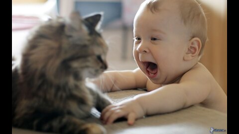 Play a month old cat watch what she does