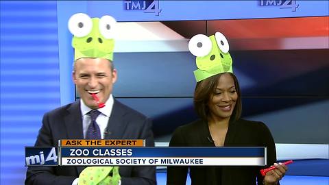 Ask the Expert: Winter classes at the zoo