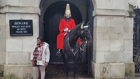 The Horse putting its ears back (angry)#horseguardsparade