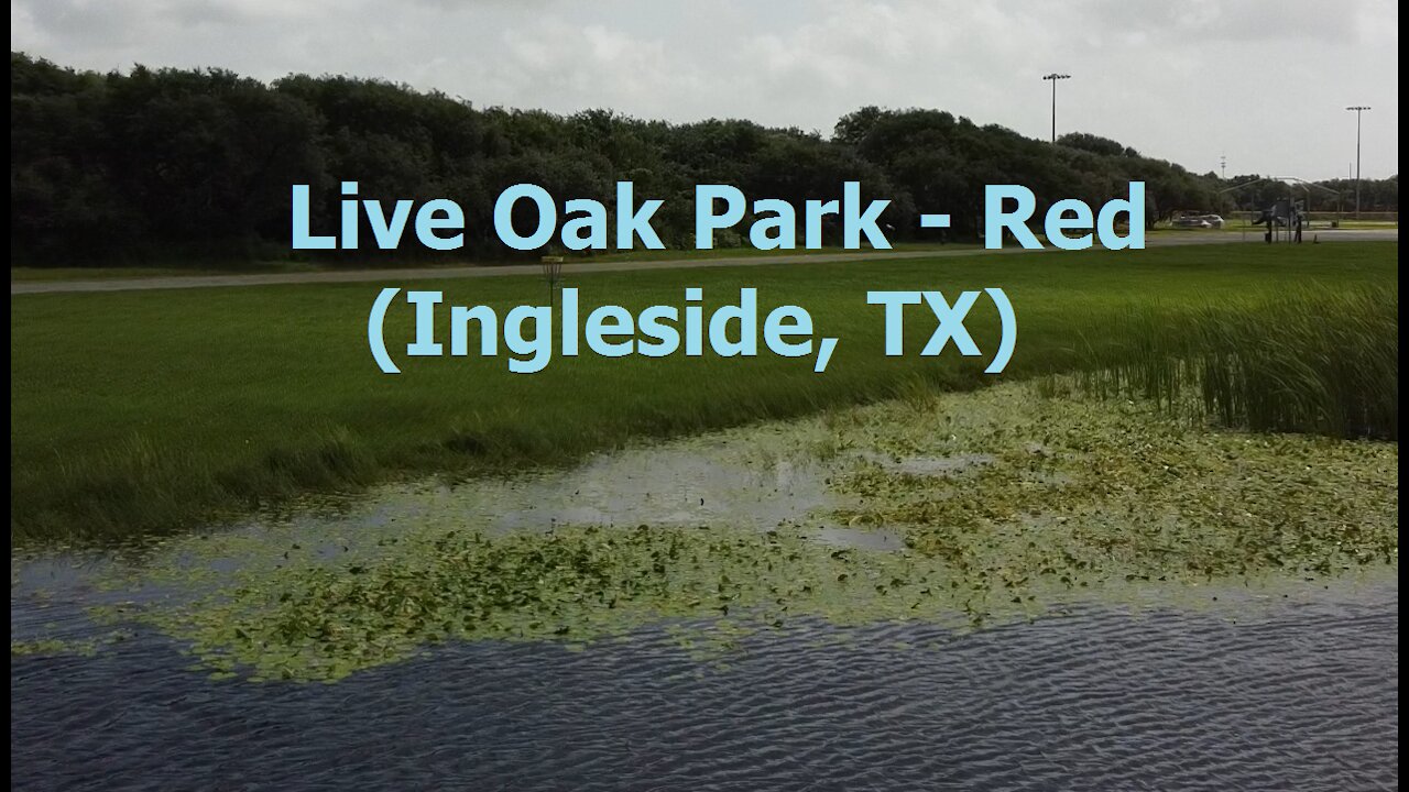 Live Oak Park Red - Drone Flythrough