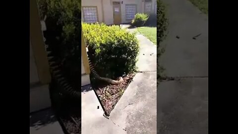 Miracle Plays Start Up Location Prospect #1