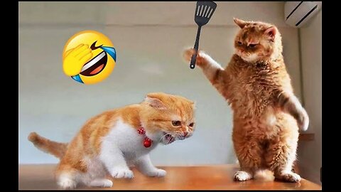 Funniest Animals 2023 😂 New Funny Cats and Dogs Videos 😻🐶 Part 1