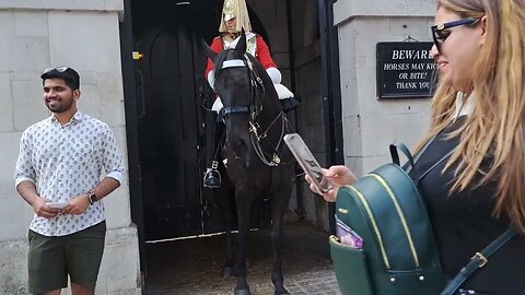 Arnie thetouristhater ears go back #horseguardsparade