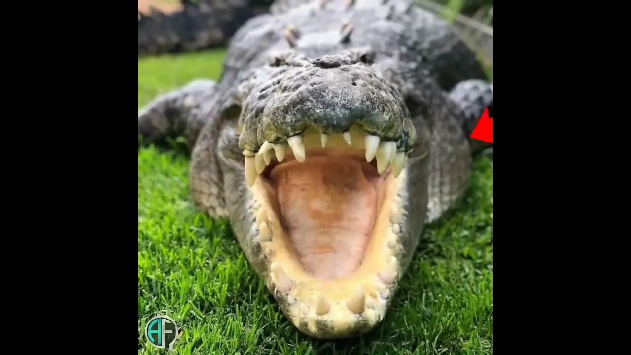 10 Random Facts