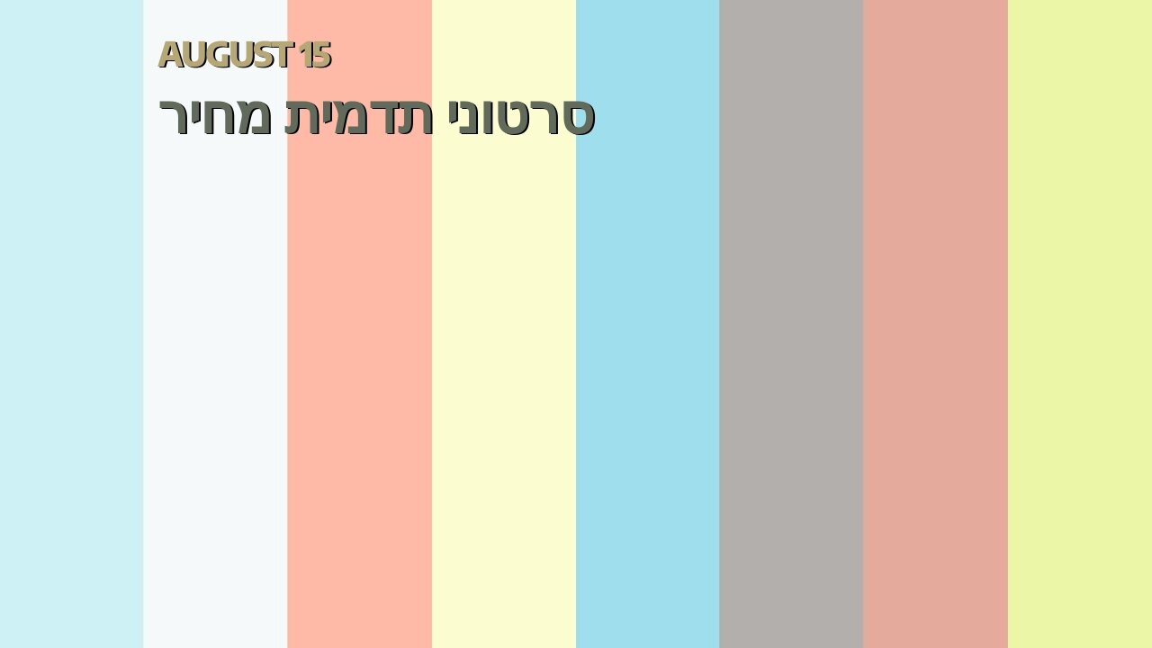 סרטוני תדמית מחיר