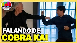 VIDEOS SHORTS FALANDO SOBRE COBRA KAI A MELHOR SÉRIE DA ATUALIDADE