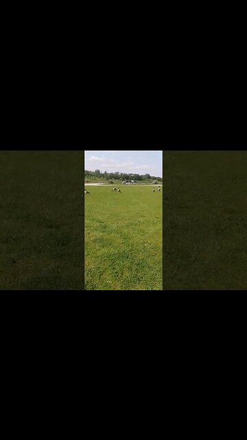 Prairie Oaks Metro Park