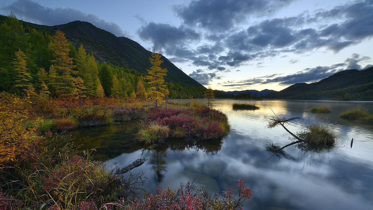 Landscapes of native nature