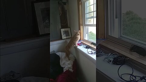 Weather up date brought to you, by Oliver. https://www.thescifishortstorywriter.com