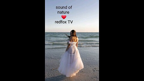 redfoxTVmusic