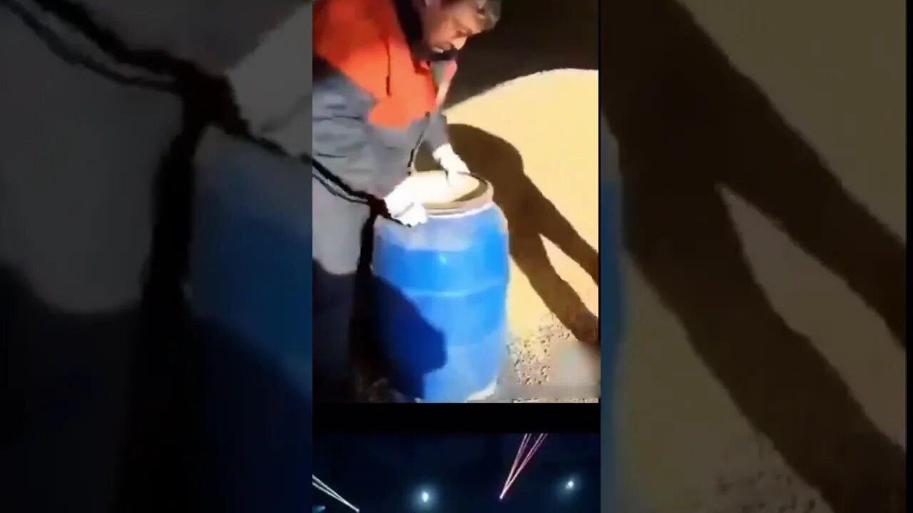 This is Elon Musk Unlimited Romanian Brainpower